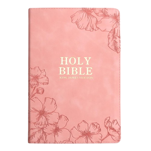 KJV Holy Bible, Giant Print with Cross-References